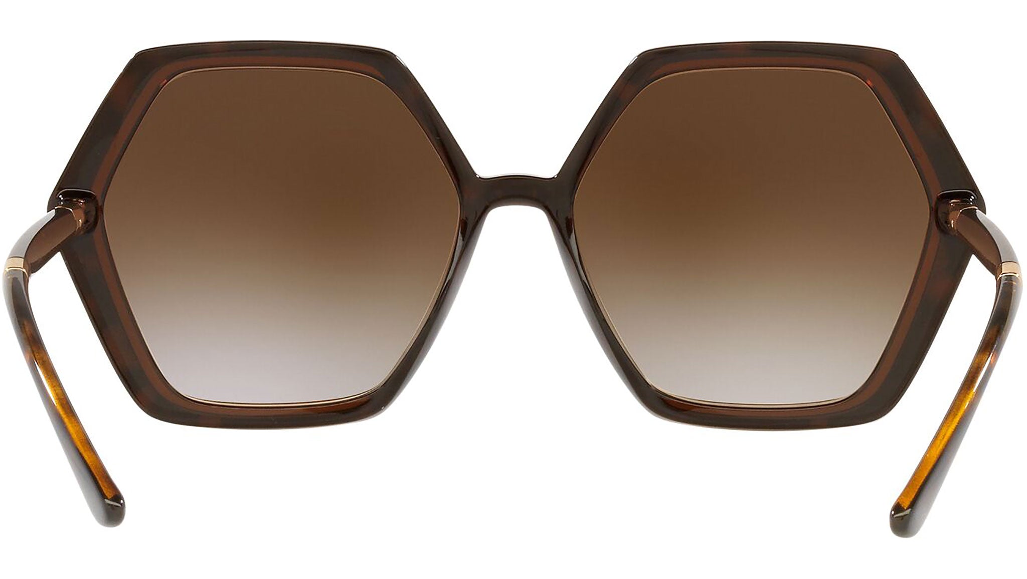 DG 6167 318513 tortoise