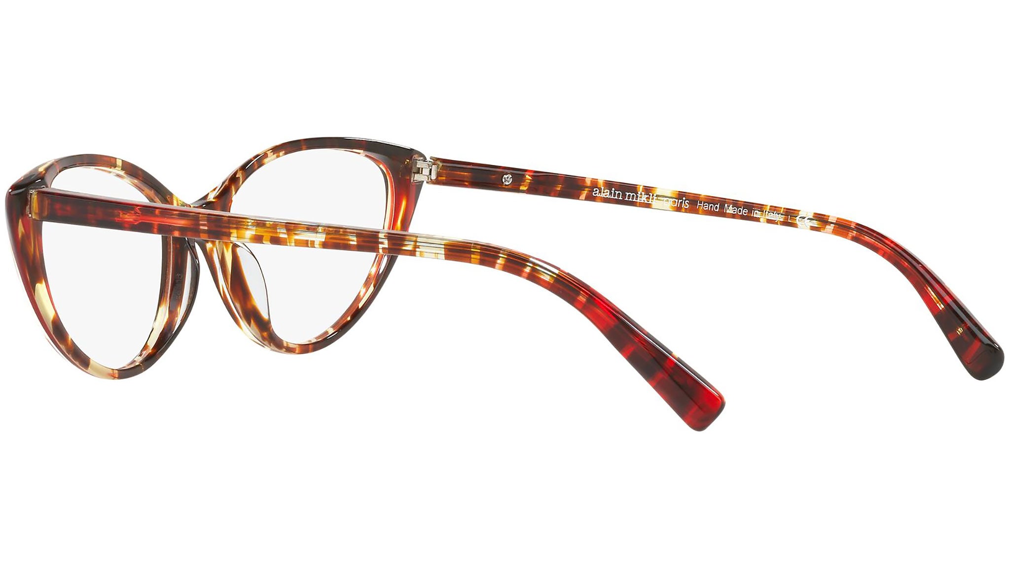 3081 004 tortoise