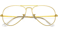 Aviator Optics RB6489 3086