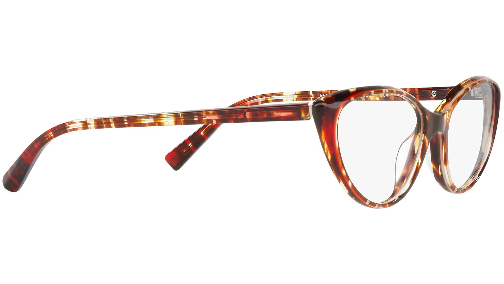 3081 004 tortoise