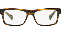 3046 2891 tortoise