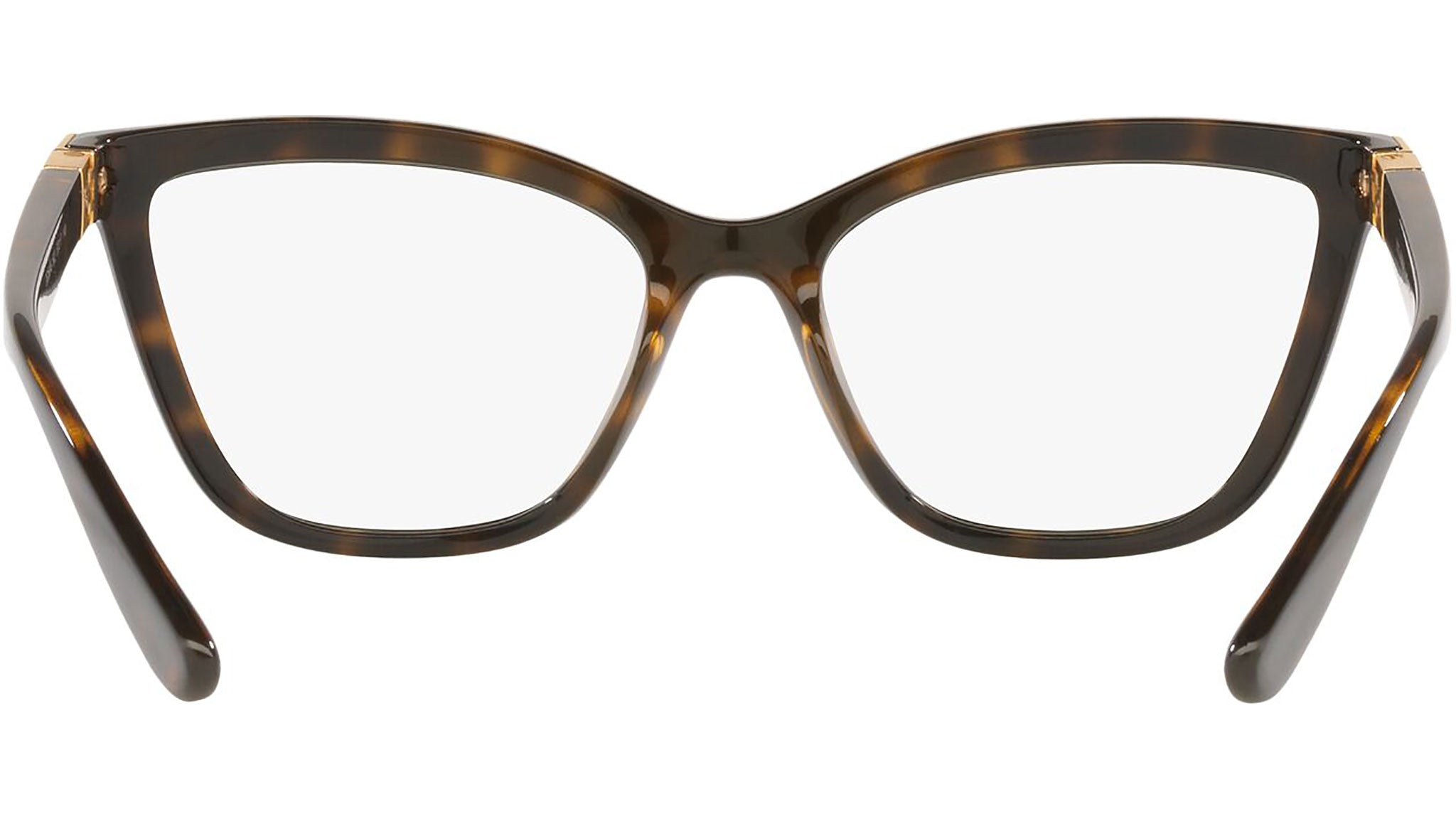 DG 5076 502 tortoise