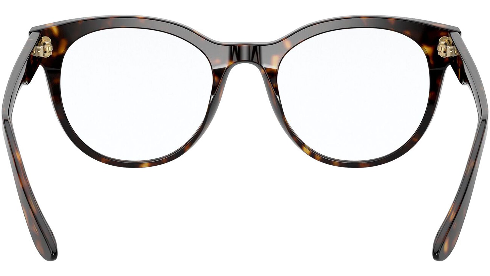 DG 3334 502 tortoise