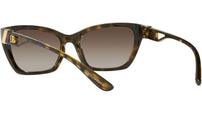 DG 6155 502/13 tortoise