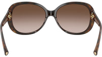 AR 8047 504913 Black