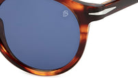 DB 1036/S Red Havana Blue