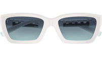 TF4213 83929S Bright White