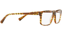 3065 003 brown