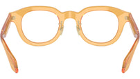 AR 7253 6063 Honey
