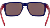 Holbrook XS OJ9007 05