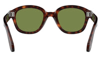 PO0060S 24/4E Tortoise