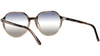 Thalia RB2195 1327GF gradient brown havana