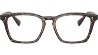 Rafkin OV5561U 1741 Atago Tortoise