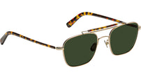 Gafilta Sun Gold Tortoise