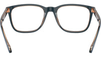 AR 7255 6085 Blue Brown