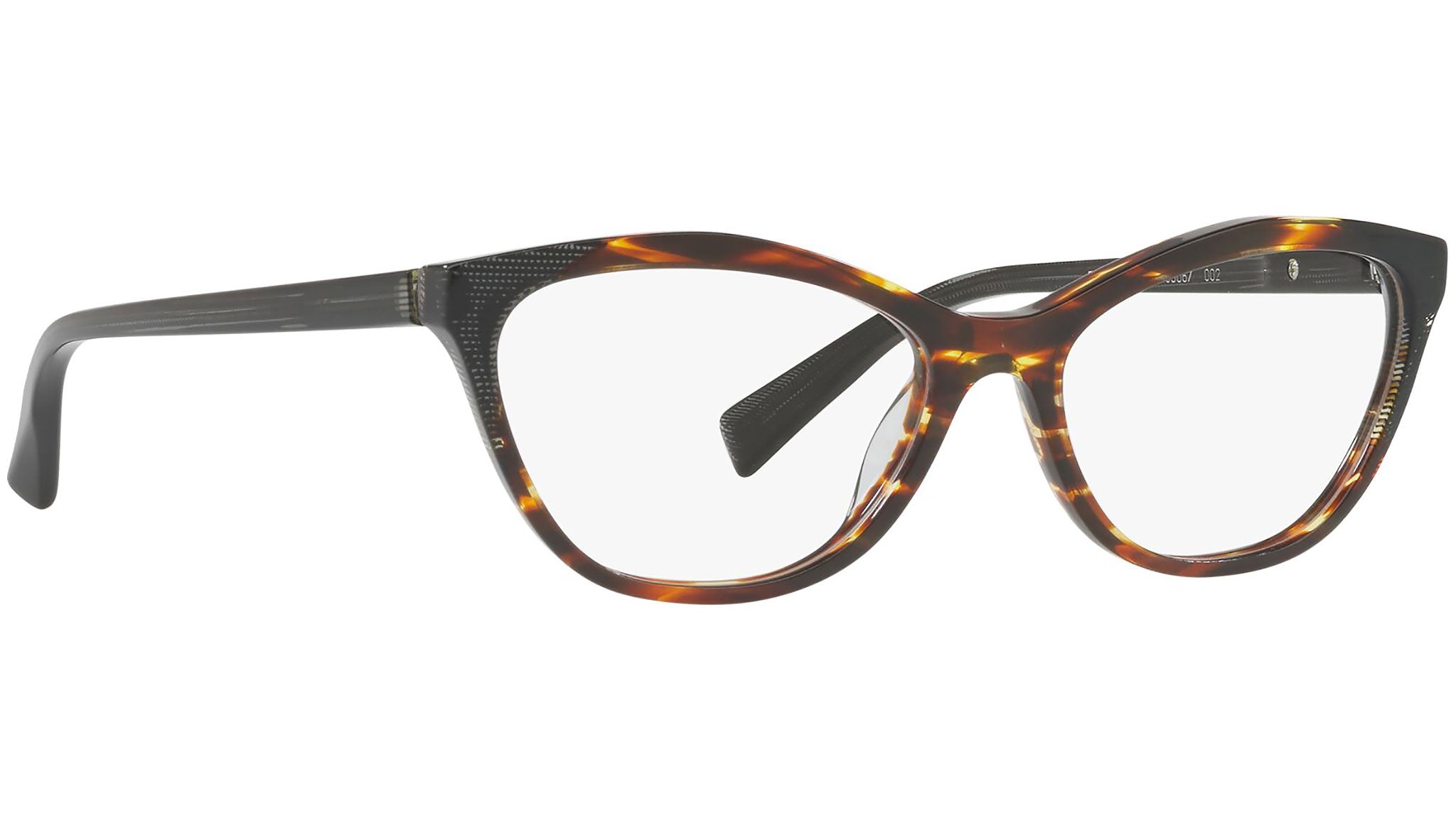 3067 002 tortoise