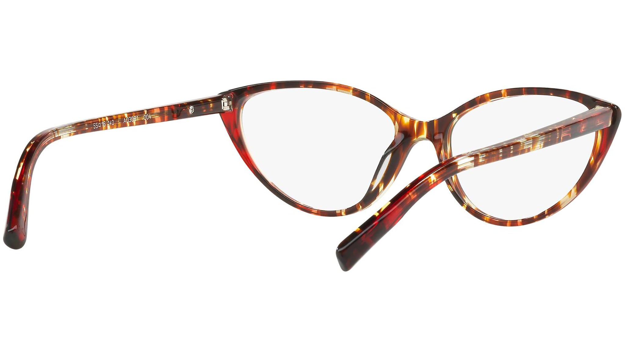3081 004 tortoise