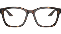AR 7229 5879 Tortoise