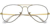 Aviator Optics RB6489 2890