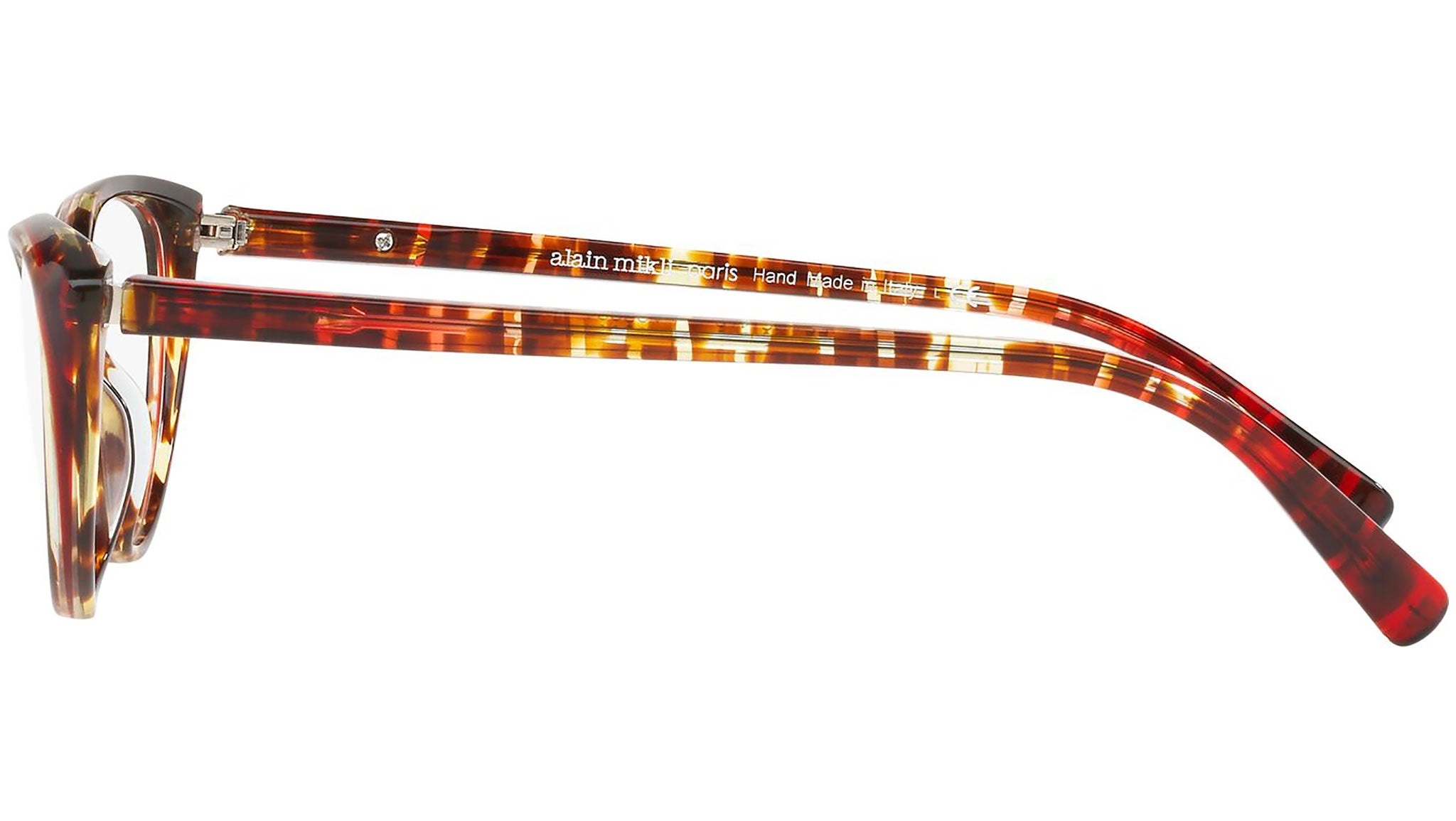 3081 004 tortoise
