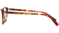 3081 004 tortoise