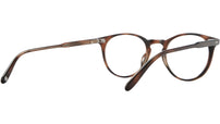 Winward Spotted Brown Shell