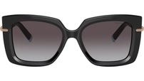 TF4199 80013C Black