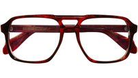 1394 Optical 02