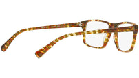 3065 003 brown
