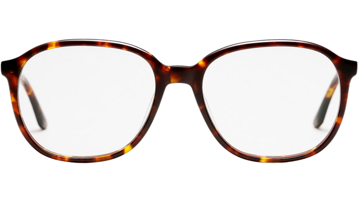 Solange Tortoise