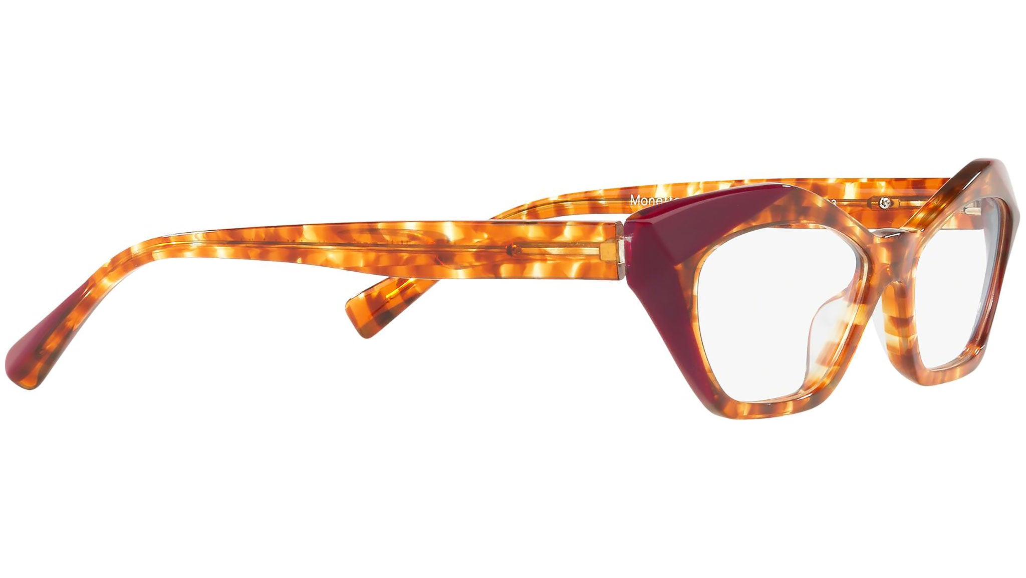 Monette 3094 003 tortoise