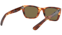 Caribbean RB2248 striped havana polar