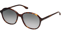 Solenne Sun Tortoise
