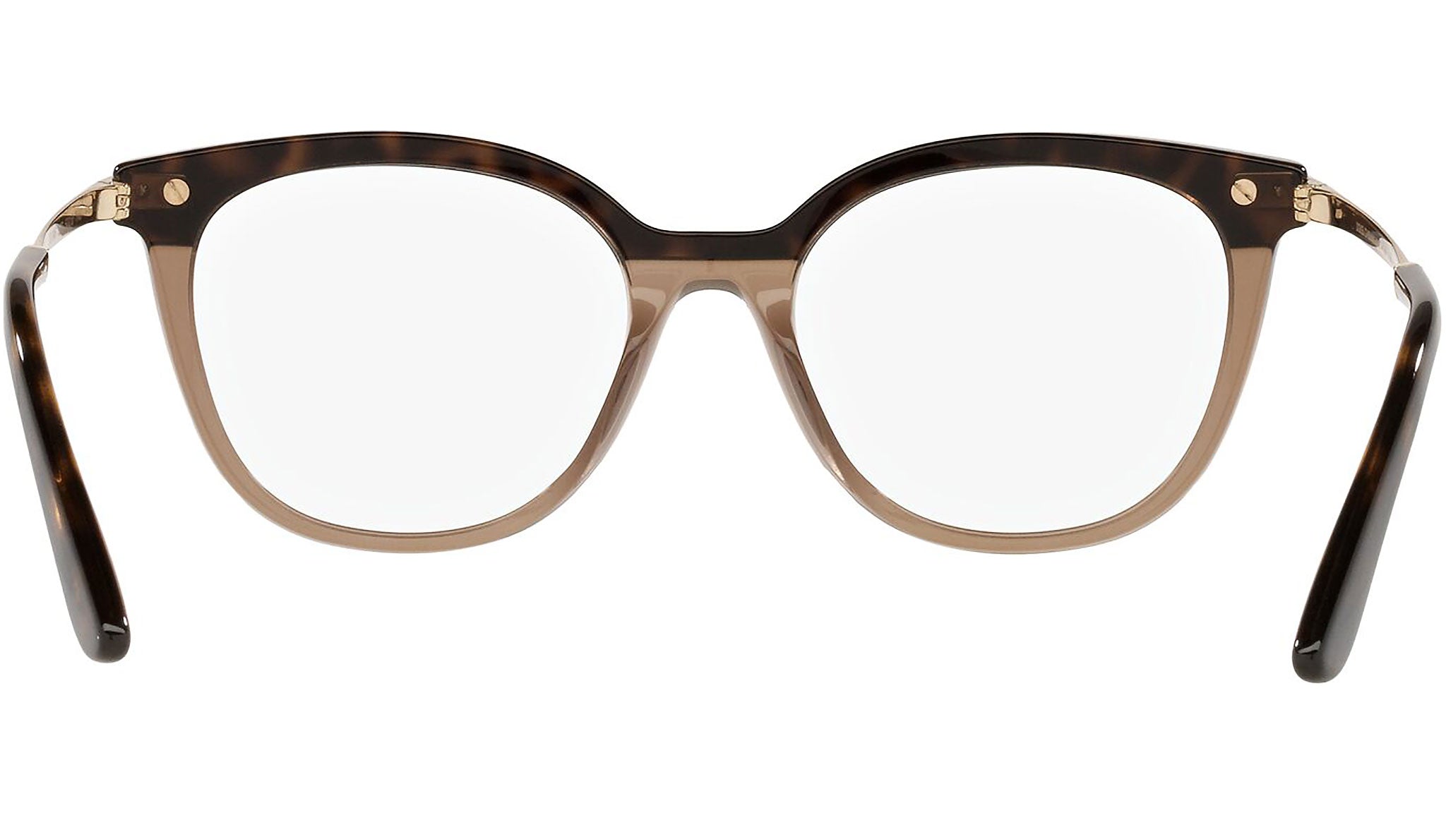 DG 3346 3256 tortoise