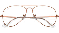 Aviator Optics RB6489 3094