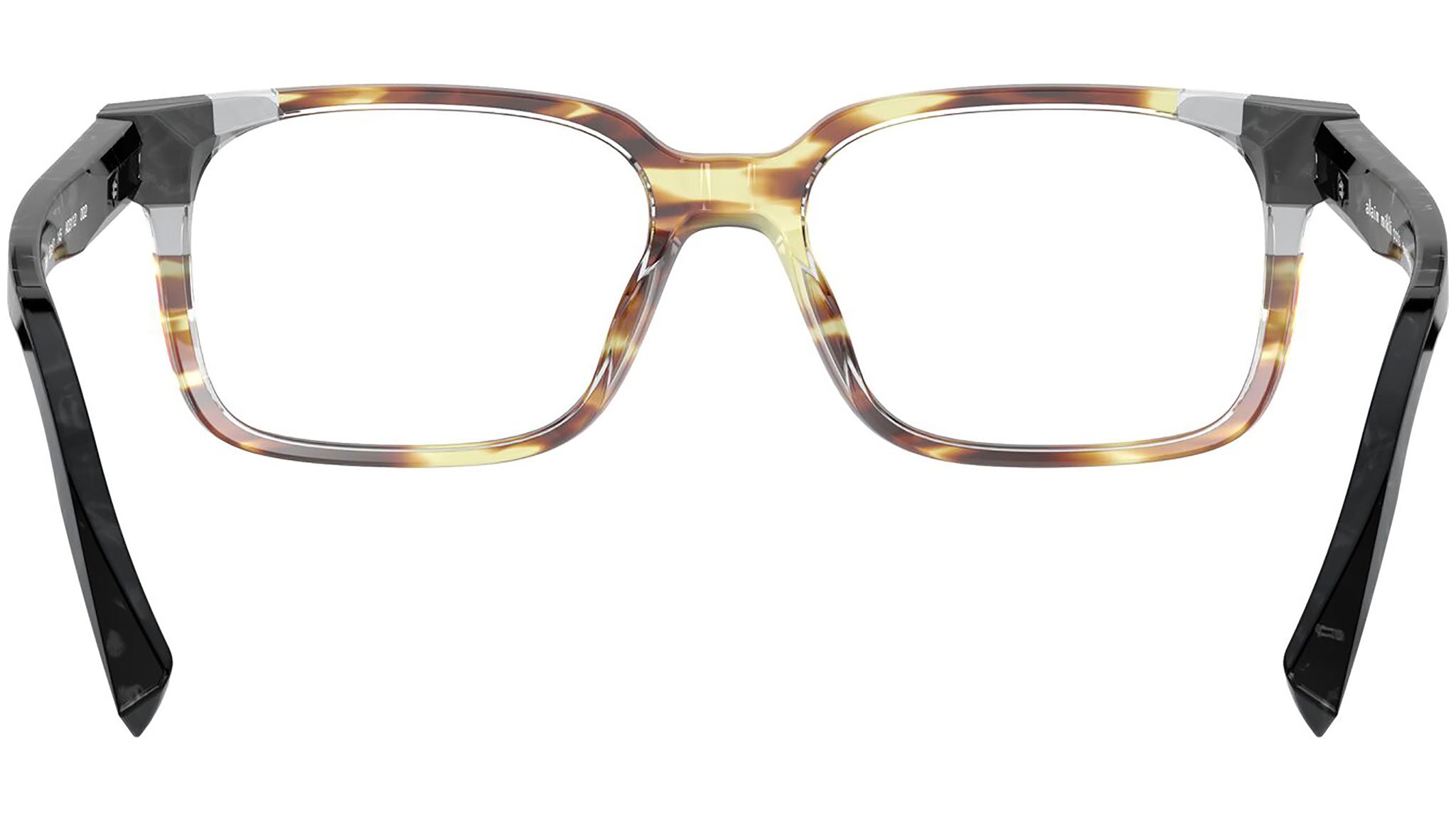 Odon 3112 002 tortoise