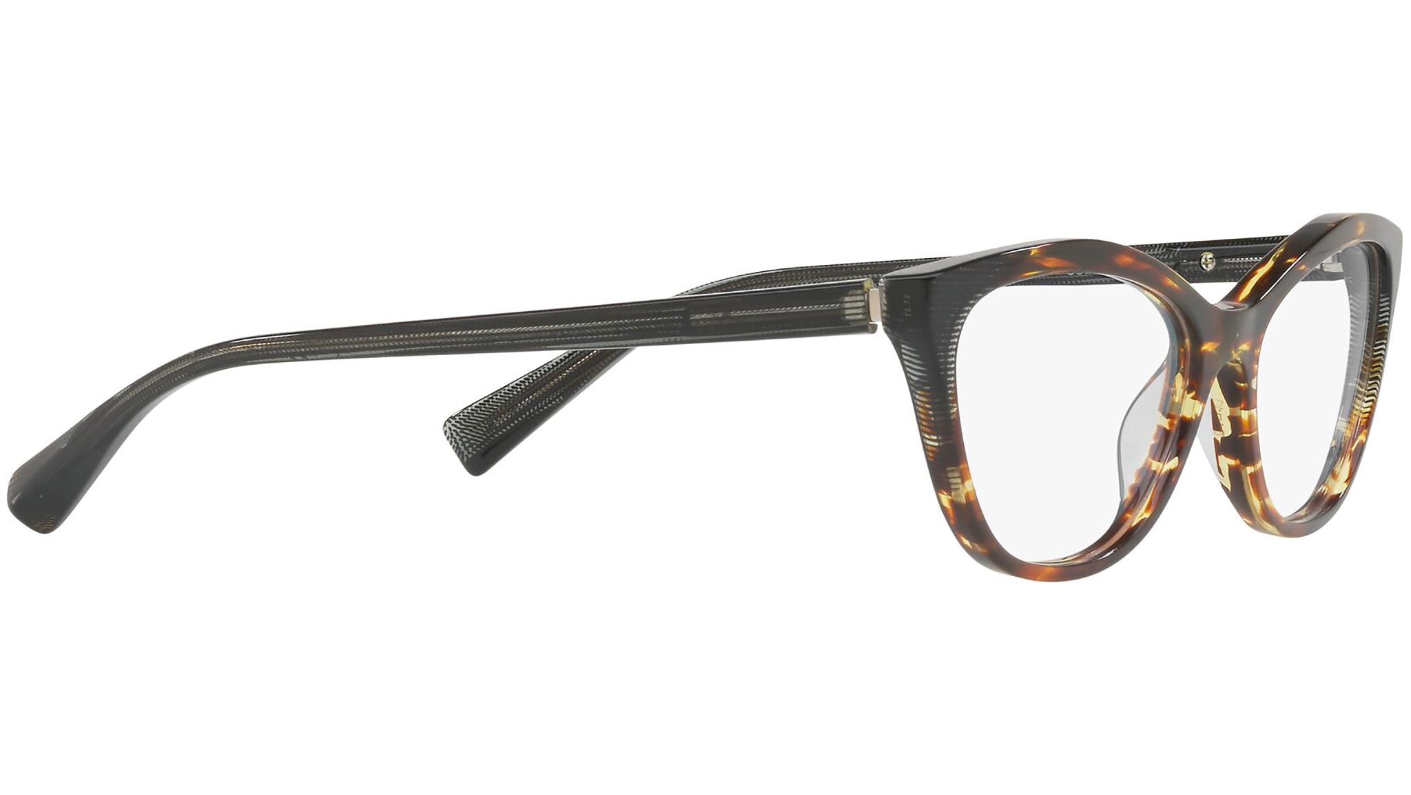 3067 002 tortoise