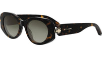 Serpenti Forever Shiny Havana Oval Sunglasses