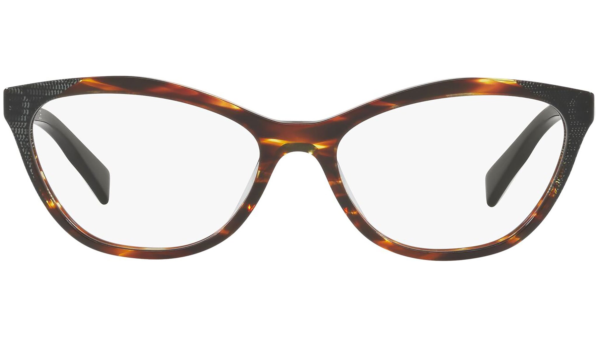 3067 002 tortoise