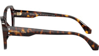 Cervinia MK4138B 3006 Dark Tortoise