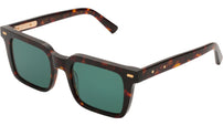 DRAVA Classic Havana