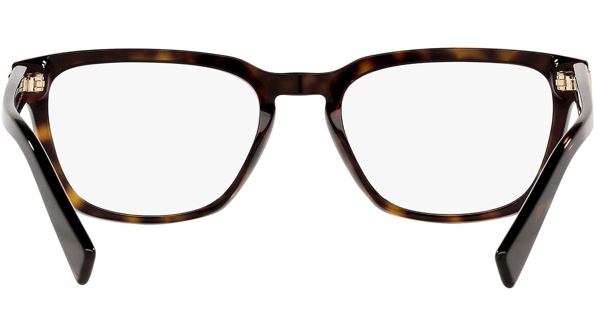 DG 3333 502 tortoise