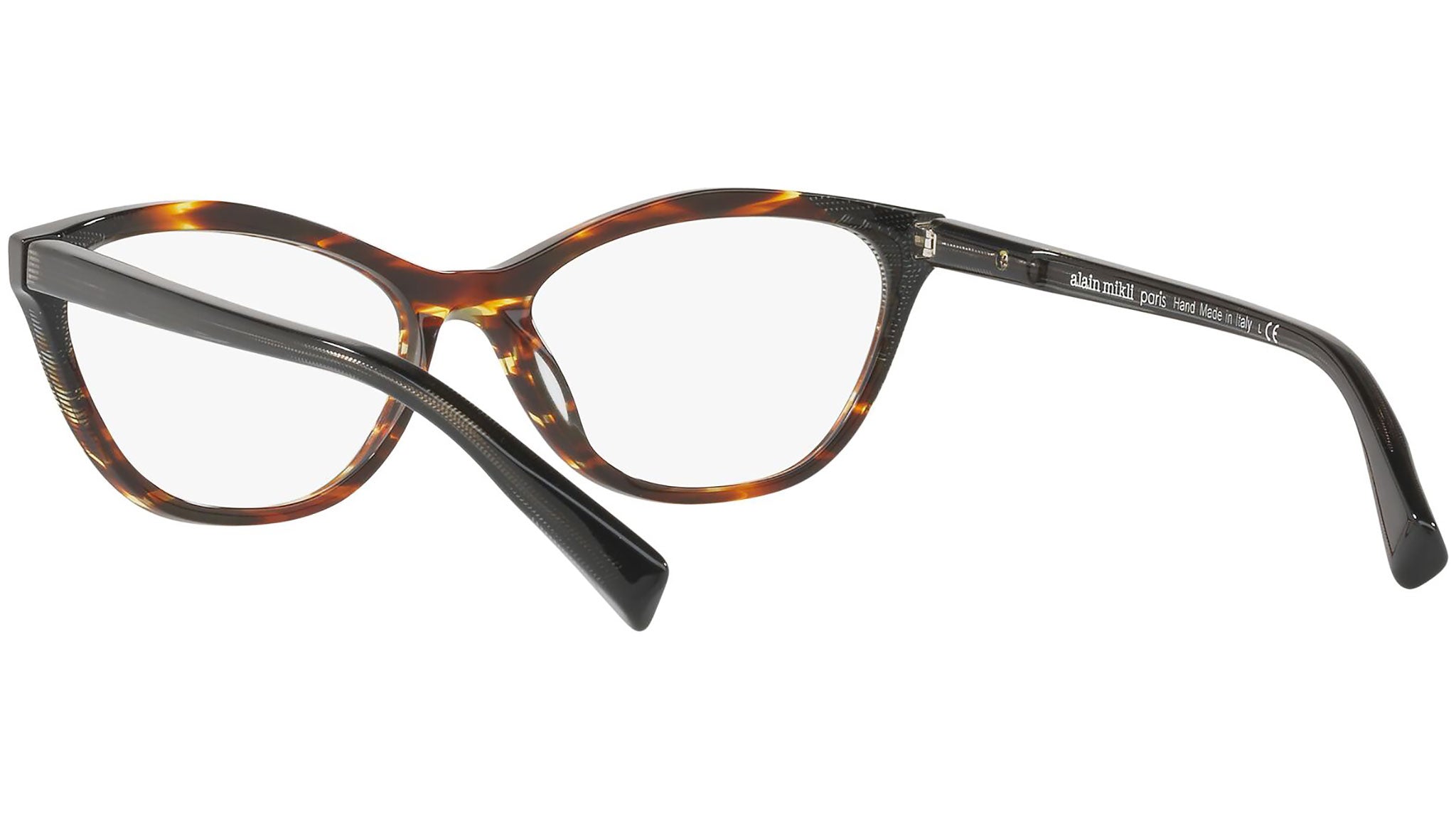3067 002 tortoise