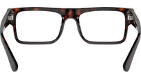 PR A01V 17N1O1 Tortoise
