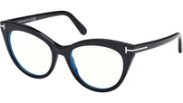 FT6091-B 001