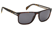 DB 1060/S Havana Grey Polarized
