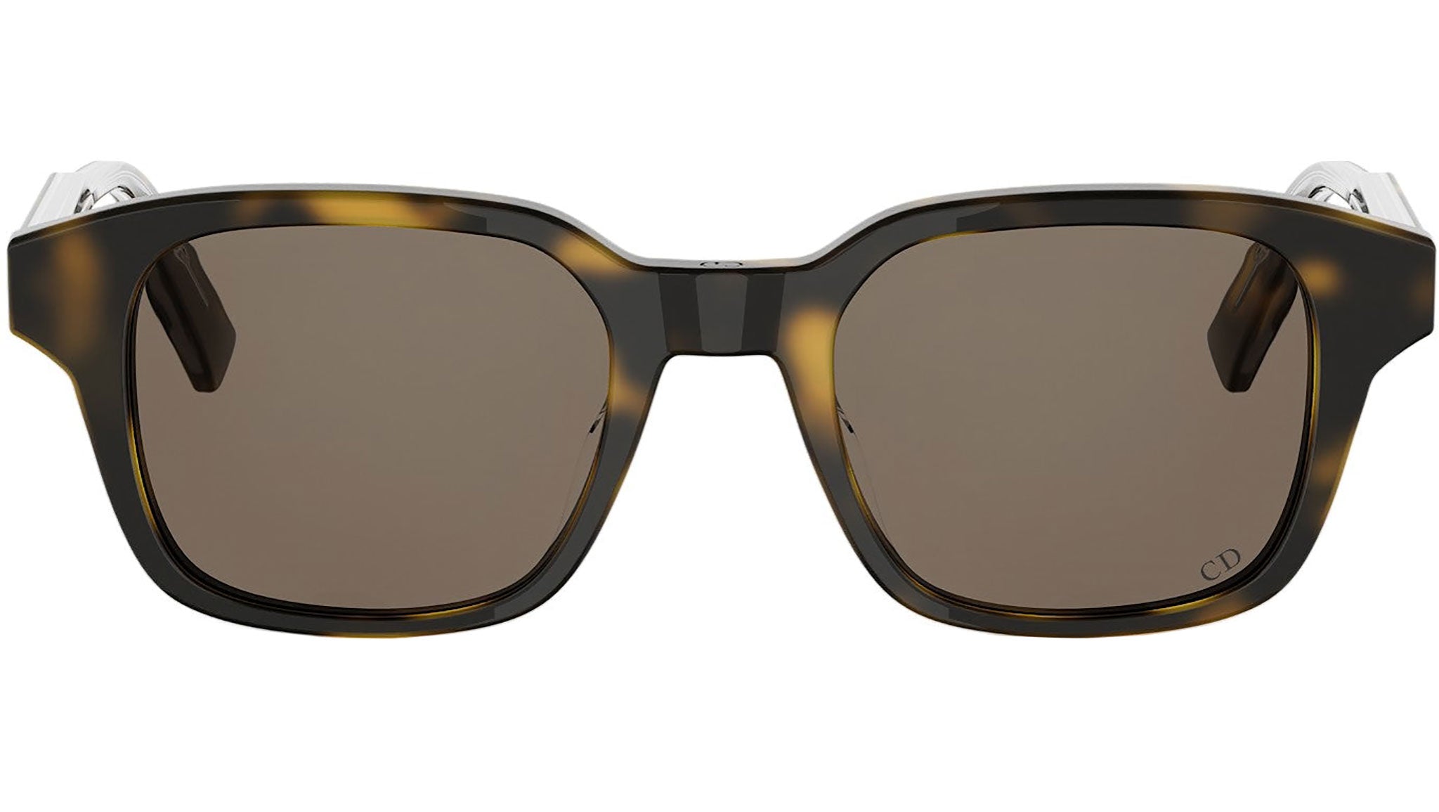DiorRibbon S1I Havana Geometric Sunglasses