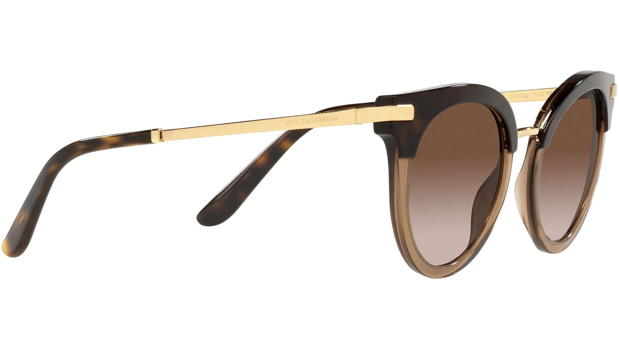 DG 4394 325613 tortoise