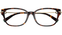 TF2262 8015 Havana