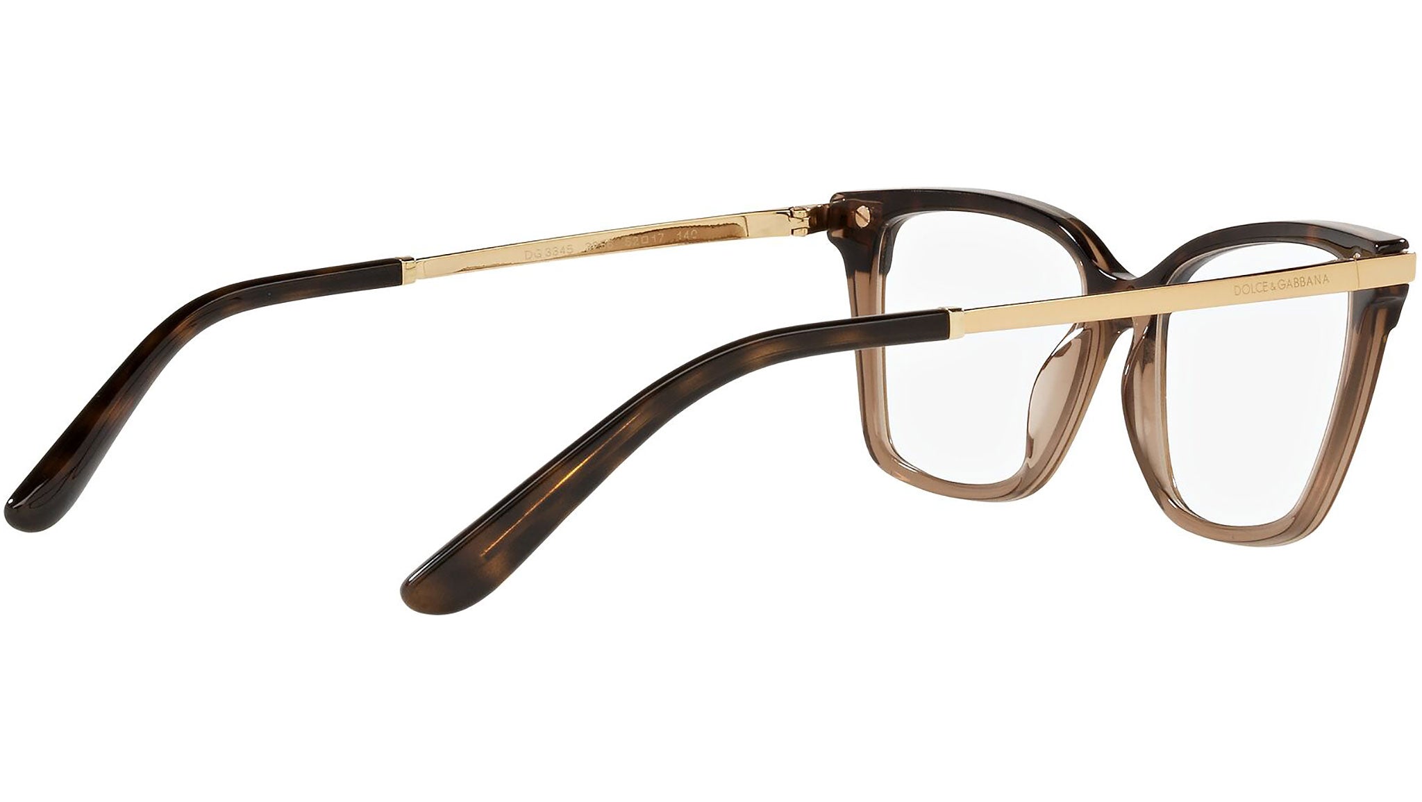 DG 3345 3256 tortoise